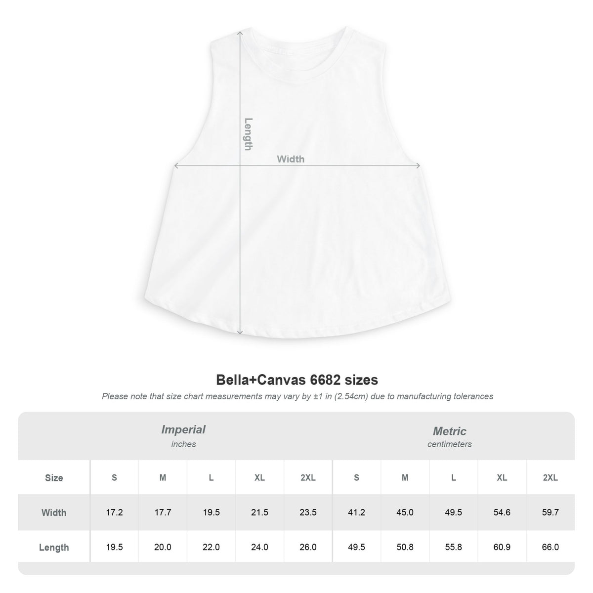 Dragonfly Crop Top — Boho Celestial Graphic Women's Tank